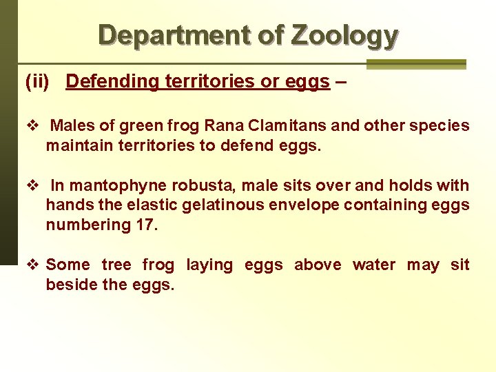 Department of Zoology (ii) Defending territories or eggs – v Males of green frog