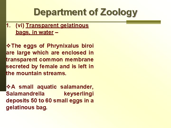 Department of Zoology 1. (vi) Transparent gelatinous bags, in water – v. The eggs