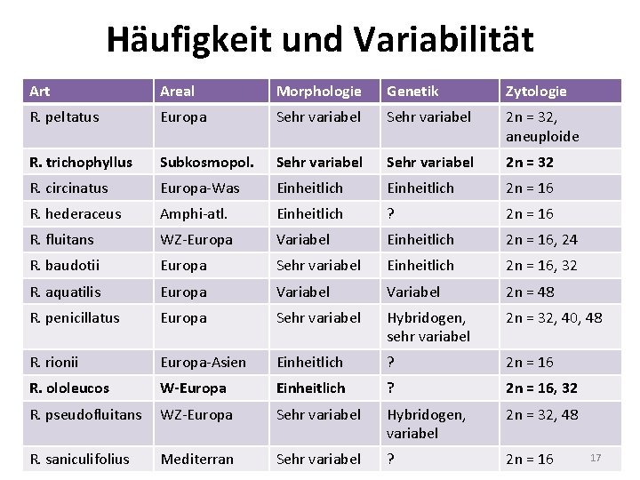 Häufigkeit und Variabilität Areal Morphologie Genetik Zytologie R. peltatus Europa Sehr variabel 2 n