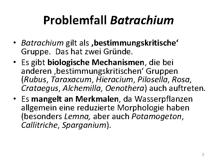 Problemfall Batrachium • Batrachium gilt als ‚bestimmungskritische‘ Gruppe. Das hat zwei Gründe. • Es