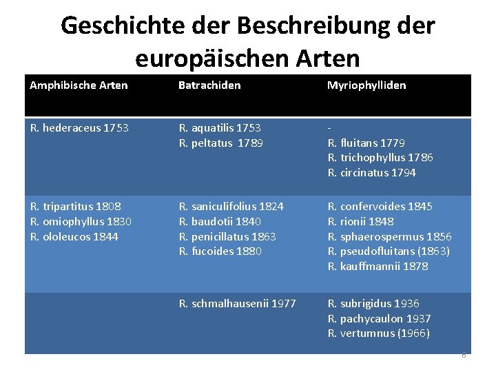 Geschichte der Beschreibung der europäischen Arten Amphibische Arten Batrachiden Myriophylliden R. hederaceus 1753 R.