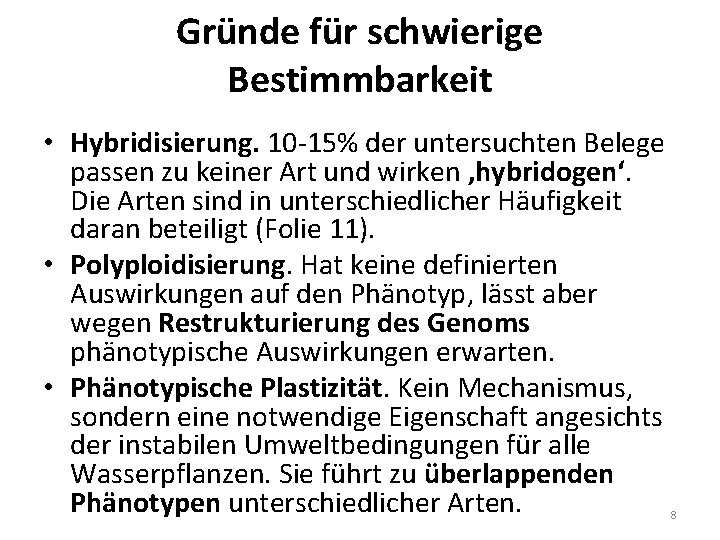 Gründe für schwierige Bestimmbarkeit • Hybridisierung. 10 -15% der untersuchten Belege passen zu keiner