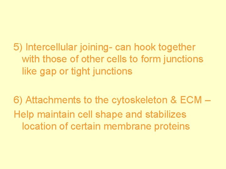 5) Intercellular joining- can hook together with those of other cells to form junctions