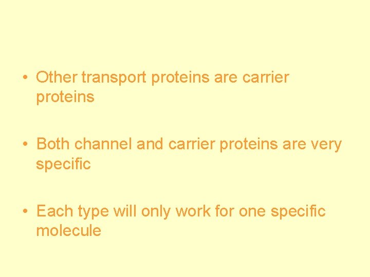  • Other transport proteins are carrier proteins • Both channel and carrier proteins