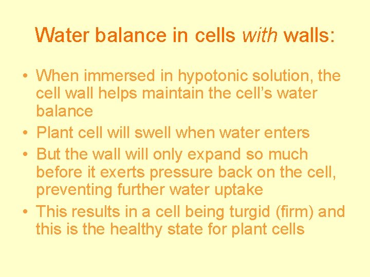 Water balance in cells with walls: • When immersed in hypotonic solution, the cell