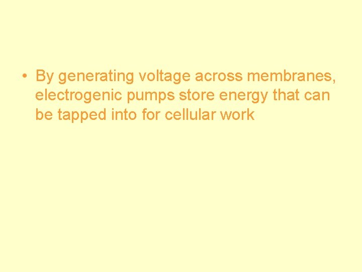  • By generating voltage across membranes, electrogenic pumps store energy that can be