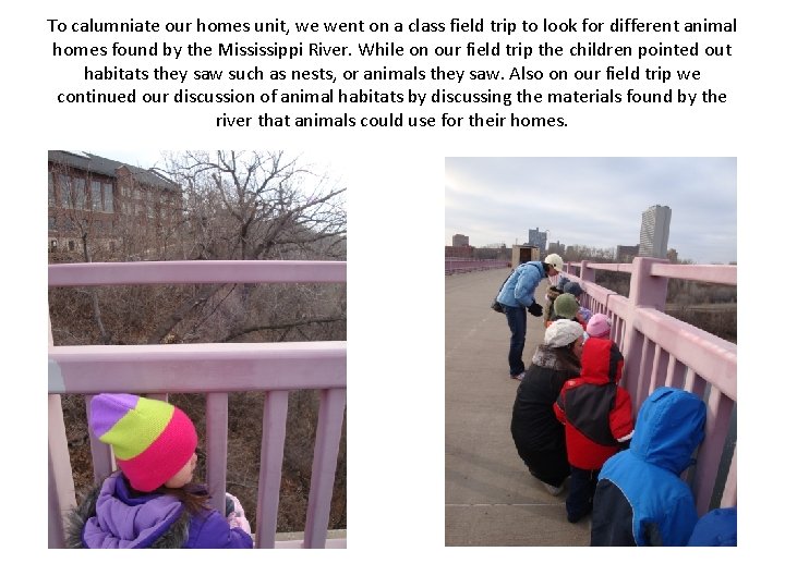 To calumniate our homes unit, we went on a class field trip to look