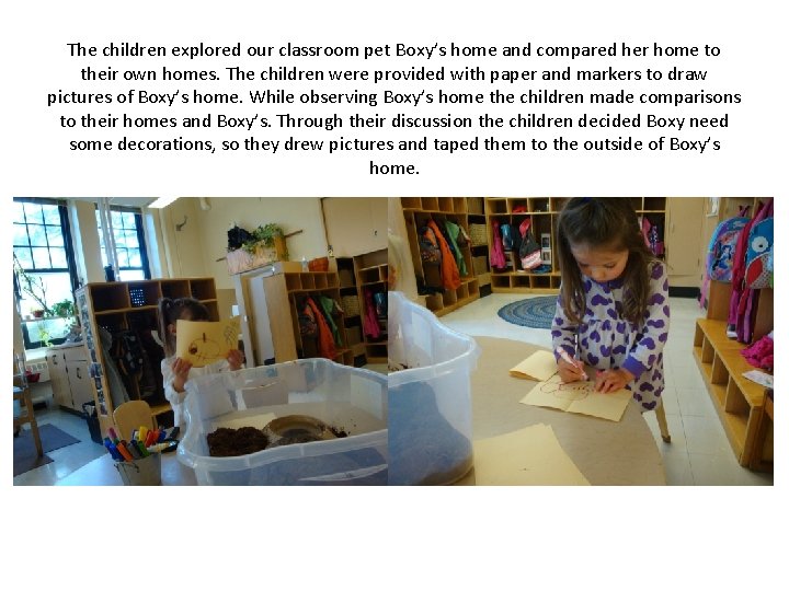 The children explored our classroom pet Boxy’s home and compared her home to their