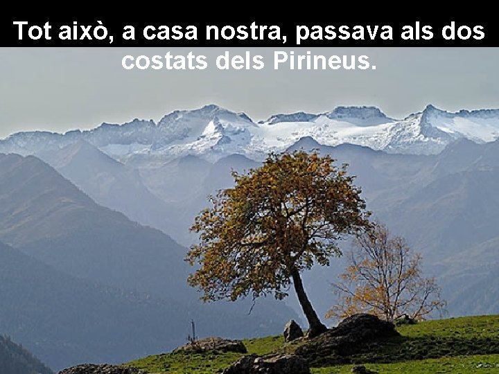 Tot això, a casa nostra, passava als dos costats dels Pirineus. 