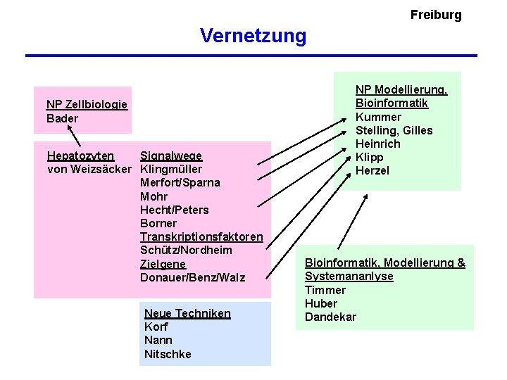 Freiburg Vernetzung NP Zellbiologie Bader Hepatozyten Signalwege von Weizsäcker Klingmüller Merfort/Sparna Mohr Hecht/Peters Borner