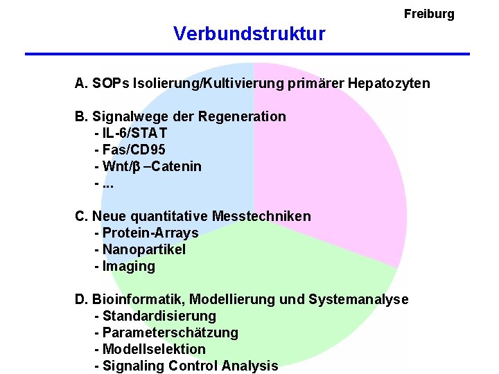 Freiburg Verbundstruktur A. SOPs Isolierung/Kultivierung primärer Hepatozyten B. Signalwege der Regeneration - IL-6/STAT -