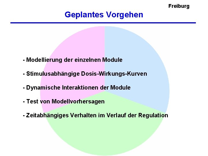 Freiburg Geplantes Vorgehen - Modellierung der einzelnen Module - Stimulusabhängige Dosis-Wirkungs-Kurven - Dynamische Interaktionen