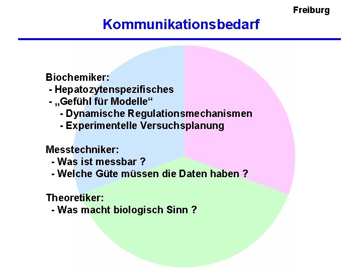 Freiburg Kommunikationsbedarf Biochemiker: - Hepatozytenspezifisches - „Gefühl für Modelle“ - Dynamische Regulationsmechanismen - Experimentelle