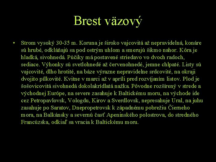 Brest väzový • Strom vysoký 30 -35 m. Koruna je široko vajcovitá až nepravidelná,