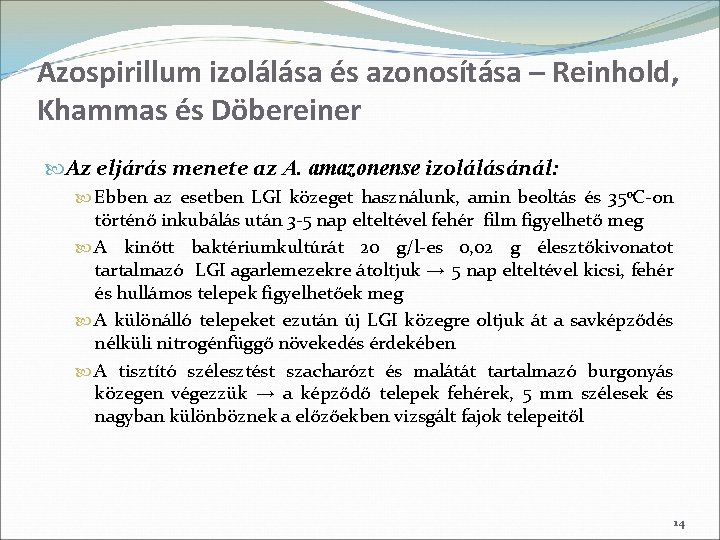 Azospirillum izolálása és azonosítása – Reinhold, Khammas és Döbereiner Az eljárás menete az A.