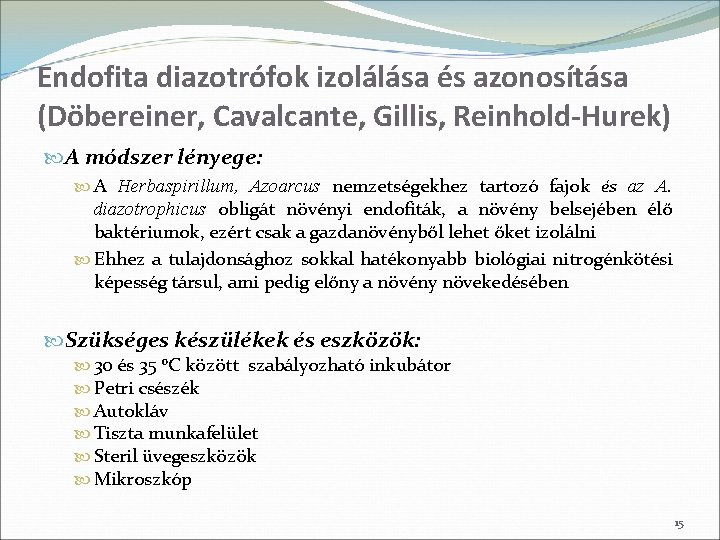 Endofita diazotrófok izolálása és azonosítása (Döbereiner, Cavalcante, Gillis, Reinhold-Hurek) A módszer lényege: A Herbaspirillum,