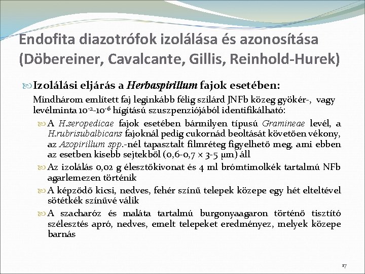 Endofita diazotrófok izolálása és azonosítása (Döbereiner, Cavalcante, Gillis, Reinhold-Hurek) Izolálási eljárás a Herbaspirillum fajok