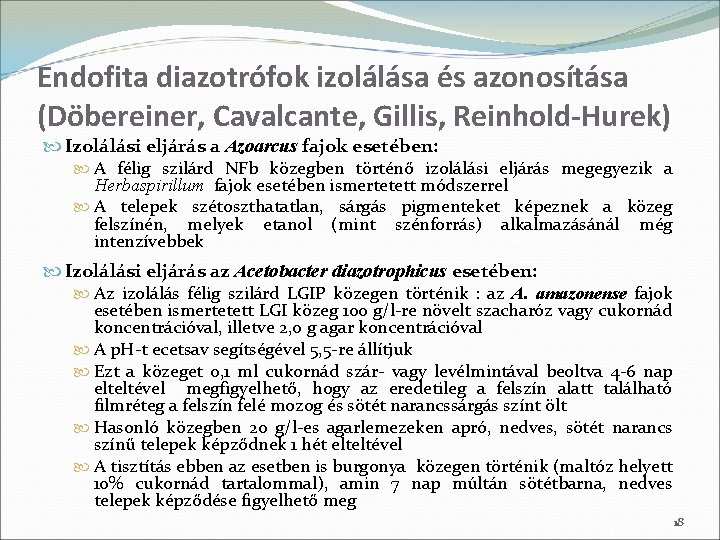 Endofita diazotrófok izolálása és azonosítása (Döbereiner, Cavalcante, Gillis, Reinhold-Hurek) Izolálási eljárás a Azoarcus fajok