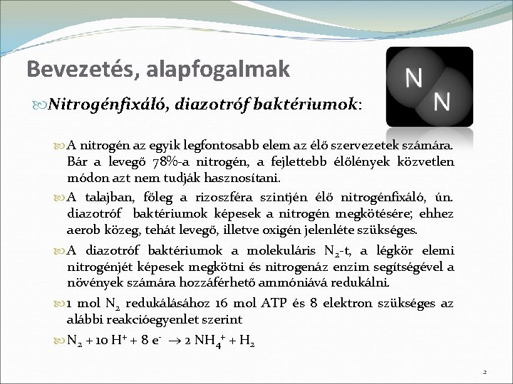 Bevezetés, alapfogalmak Nitrogénfixáló, diazotróf baktériumok: A nitrogén az egyik legfontosabb elem az élő szervezetek