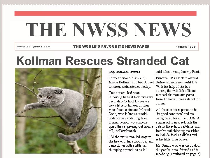 THE NWSS NEWS www. dailynews. com THE WORLD’S FAVOURITE NEWSPAPER - Since 1879 Kollman