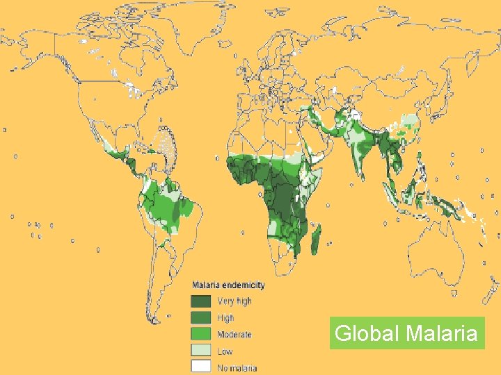 Global Malaria 