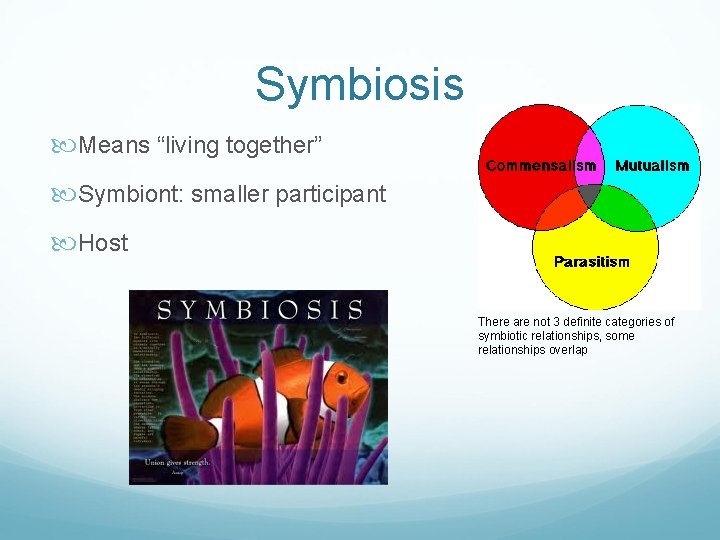 Symbiosis Means “living together” Symbiont: smaller participant Host There are not 3 definite categories