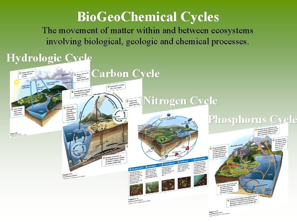 Bio. Geo. Chemical Cycles The movement of matter within and between ecosystems involving biological,