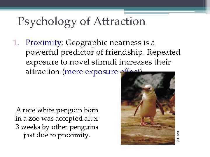 Psychology of Attraction 1. Proximity: Geographic nearness is a powerful predictor of friendship. Repeated