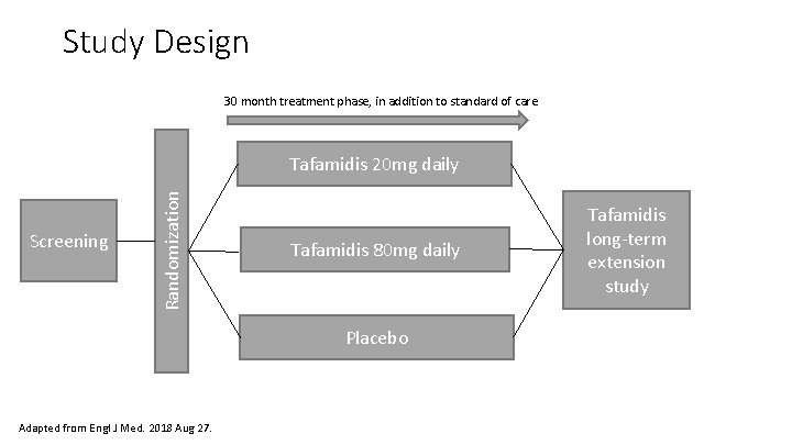 Study Design 30 month treatment phase, in addition to standard of care Screening Randomization