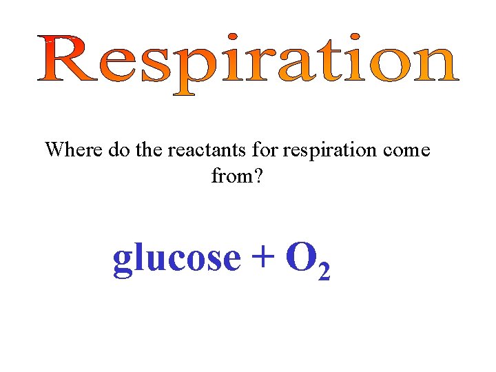 Where do the reactants for respiration come from? glucose + O 2 