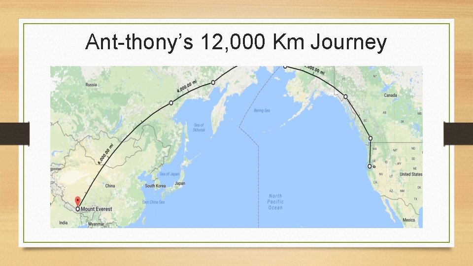 Ant-thony’s 12, 000 Km Journey 