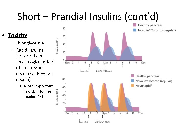 Short – Prandial Insulins (cont’d) • Toxicity – Hypoglycemia – Rapid insulins better reflect