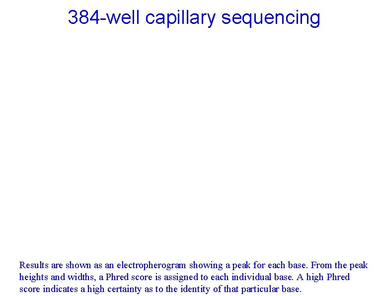 384 -well capillary sequencing Results are shown as an electropherogram showing a peak for