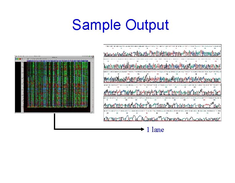 Sample Output 1 lane 