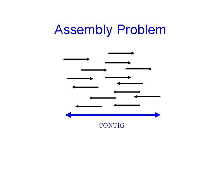 Assembly Problem CONTIG 