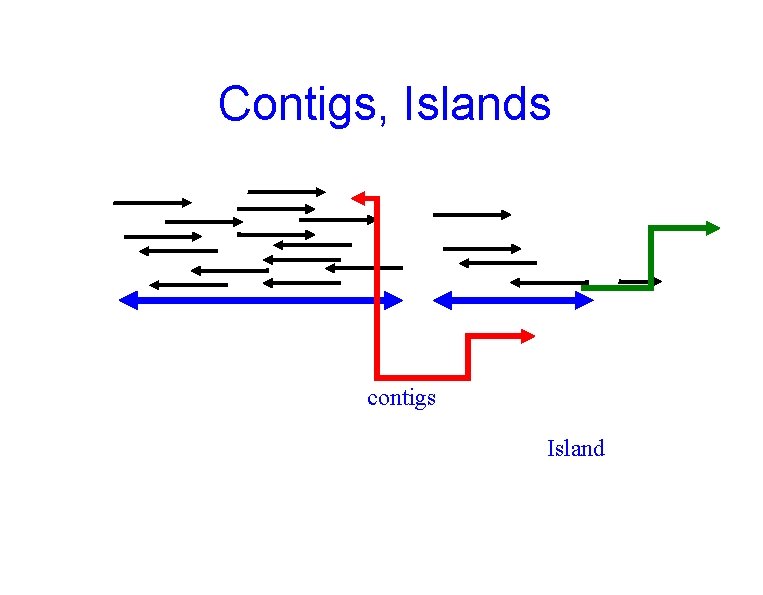 Contigs, Islands contigs Island 