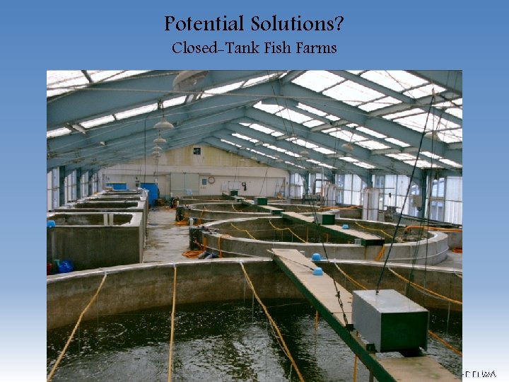 Potential Solutions? Closed-Tank Fish Farms FREEING THE ELWA 
