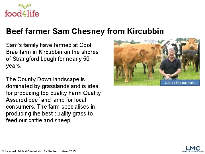 Beef farmer Sam Chesney from Kircubbin Sam’s family have farmed at Cool Brae farm