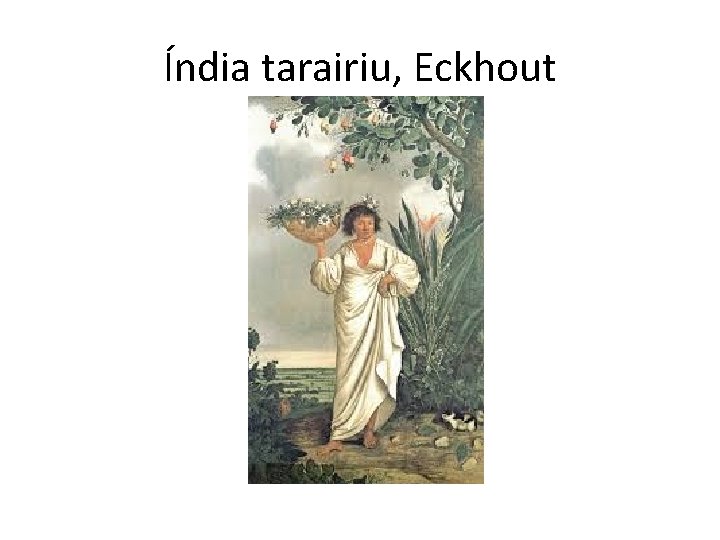 Índia tarairiu, Eckhout 