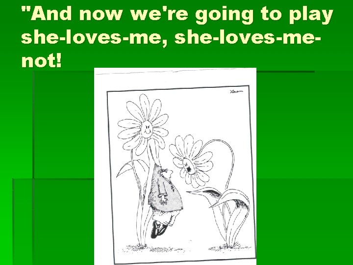 "And now we're going to play she-loves-me, she-loves-menot! 