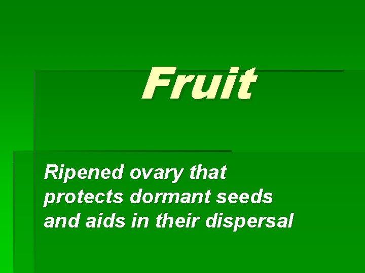 Fruit Ripened ovary that protects dormant seeds and aids in their dispersal 