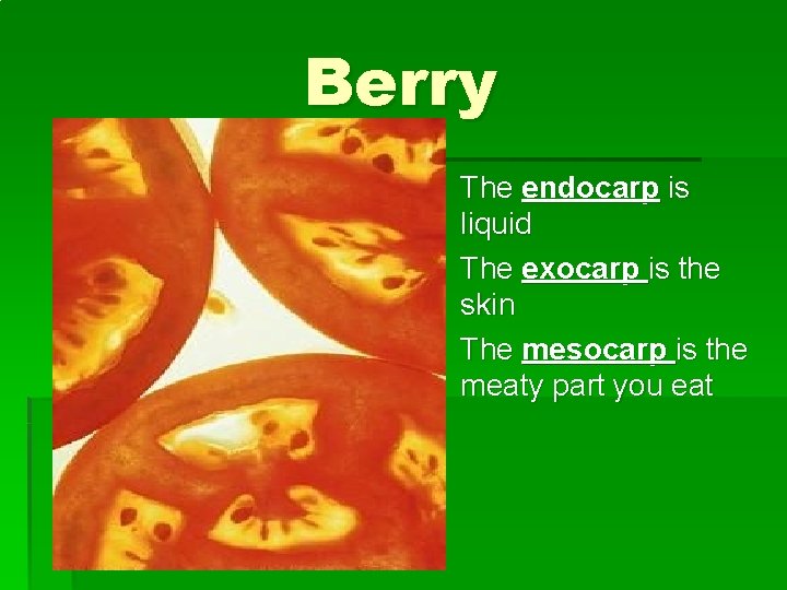 Berry § The endocarp is liquid § The exocarp is the skin § The