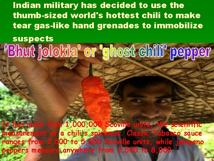 Indian military has decided to use thumb-sized world's hottest chili to make tear gas-like