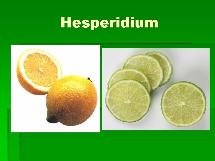 Hesperidium 