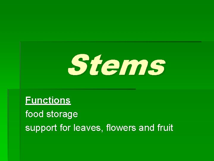 Stems Functions food storage support for leaves, flowers and fruit 