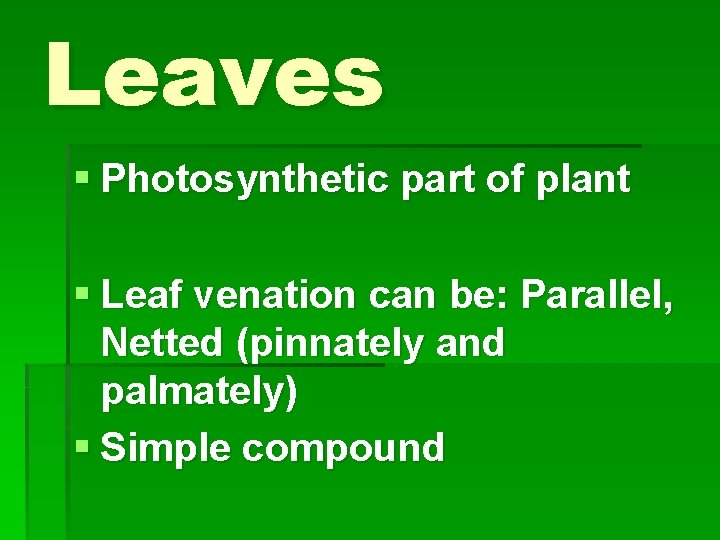 Leaves § Photosynthetic part of plant § Leaf venation can be: Parallel, Netted (pinnately