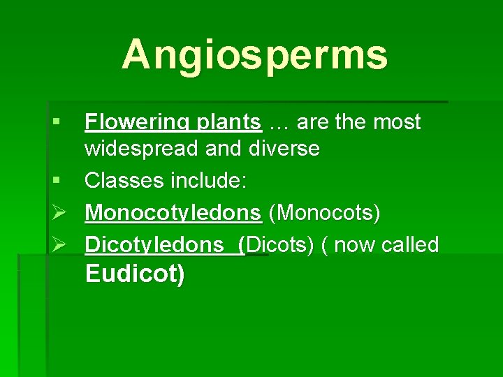 Angiosperms § Flowering plants … are the most widespread and diverse § Classes include: