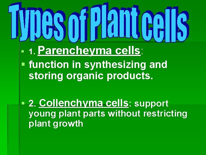 § 1. Parencheyma cells: § function in synthesizing and storing organic products. § 2.