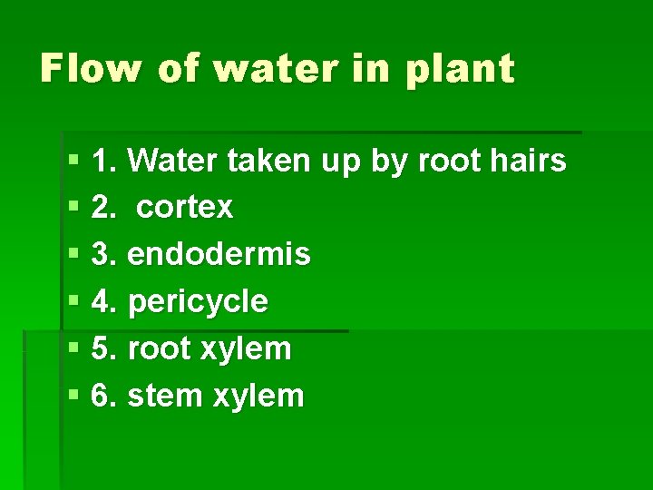 Flow of water in plant § 1. Water taken up by root hairs §