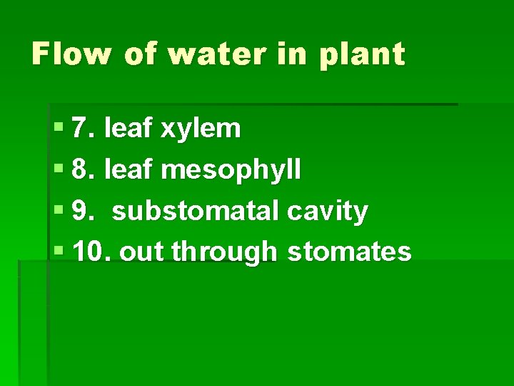 Flow of water in plant § 7. leaf xylem § 8. leaf mesophyll §